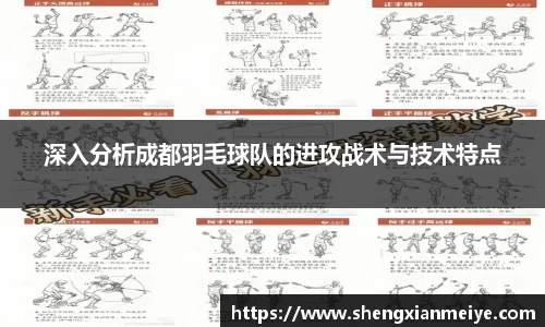深入分析成都羽毛球队的进攻战术与技术特点
