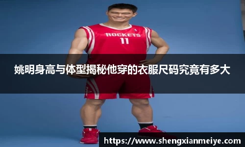 姚明身高与体型揭秘他穿的衣服尺码究竟有多大