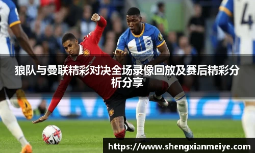 米兰体育官网